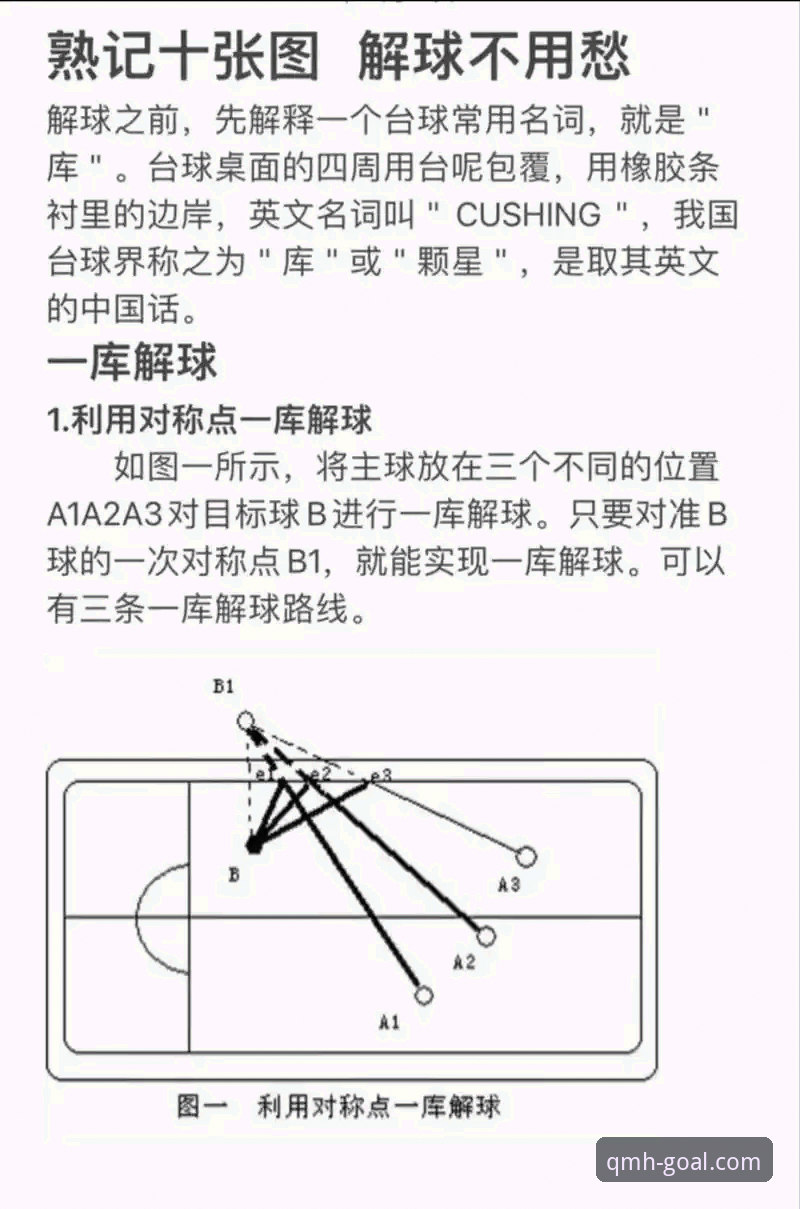揭秘球盟会体育平台APP高效使用教程：从入门到精通的关键技巧